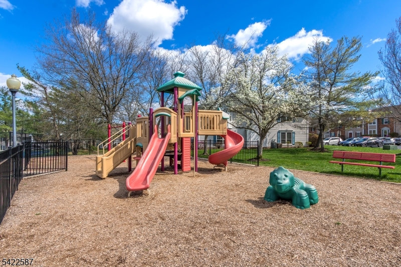 Beacon Hill - Residential