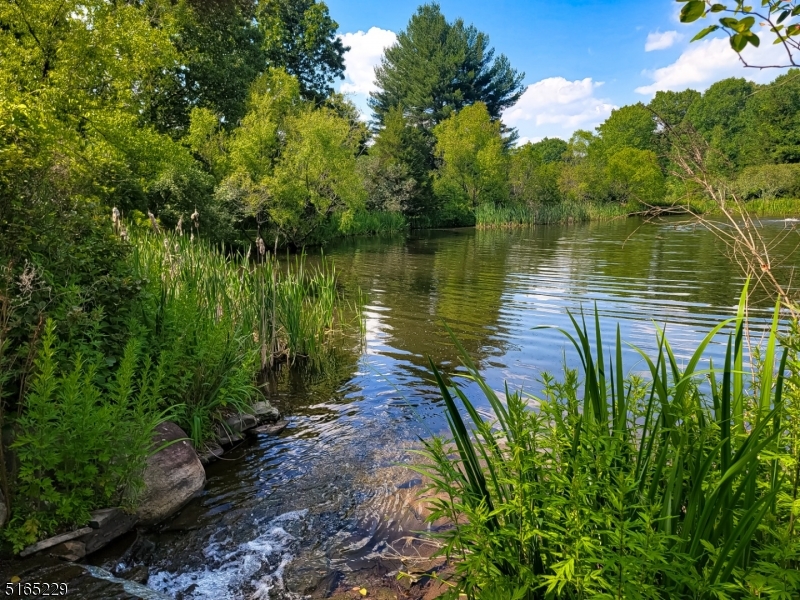 Bedminster Horse Country - Residential