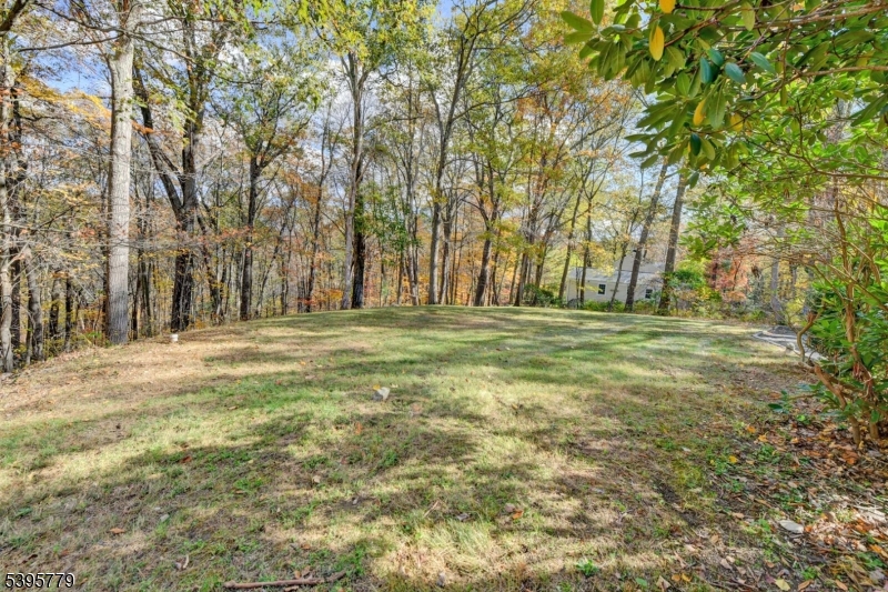 Smoke Rise - Residential