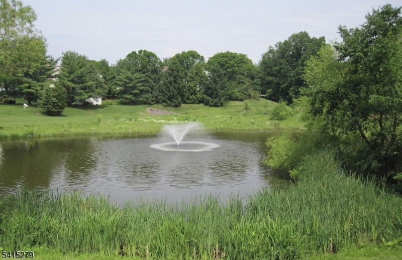 Spring Ridge - Residential