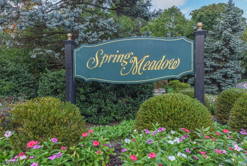 Spring Meadow - Residential