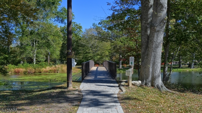 PACKANACK LAKE - Residential