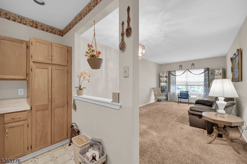 Bald Eagle - Residential