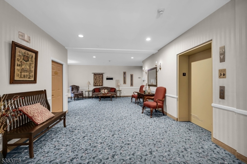 Bald Eagle - Residential