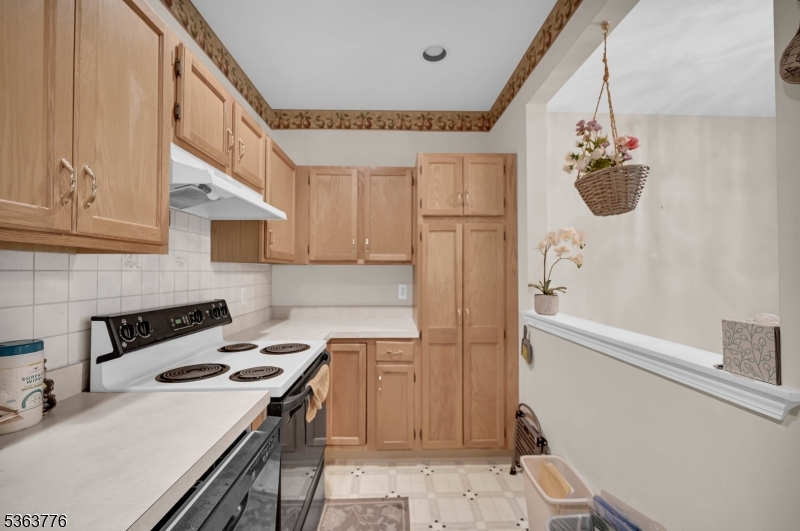 Bald Eagle - Residential