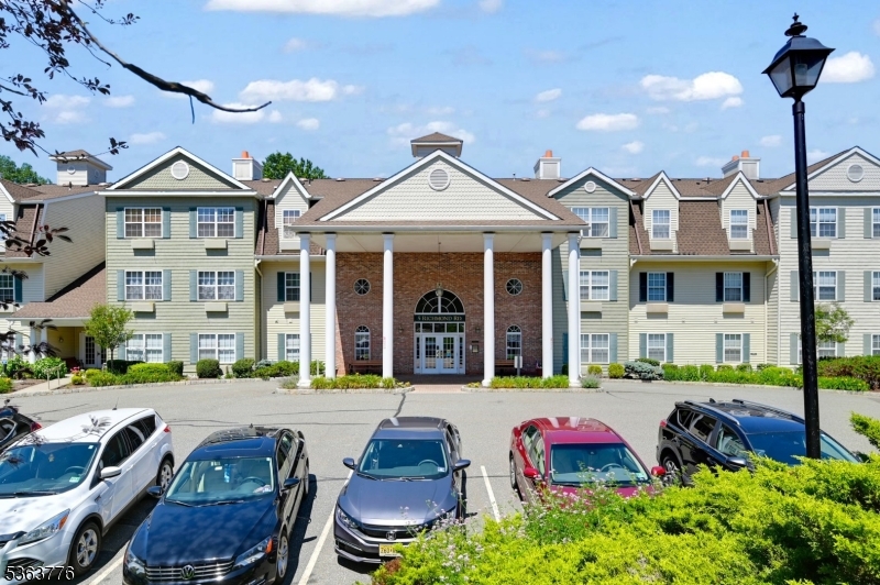Bald Eagle - Residential