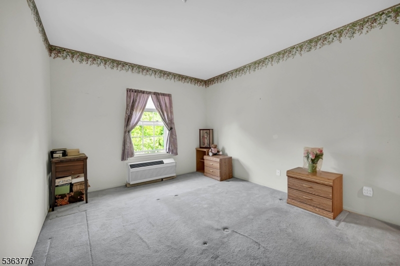 Bald Eagle - Residential