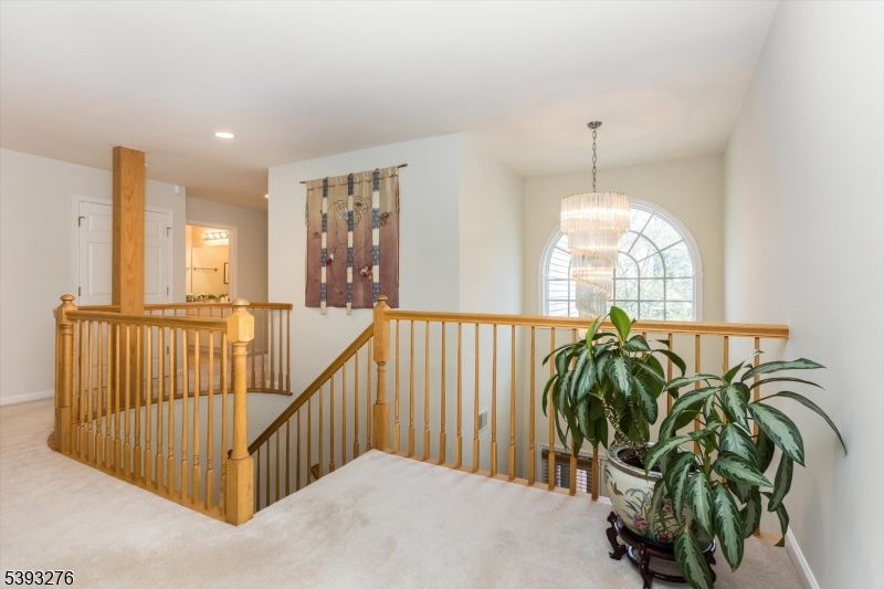 Forest Creek - Residential