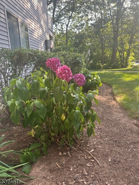 Village Green - The Hills - Residential
