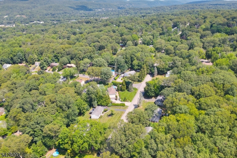 Dogwood - Residential