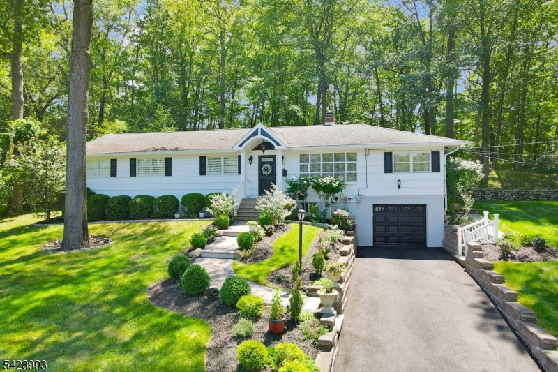 Dogwood - Residential