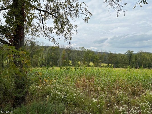 395 MOUNTAIN LAKE RD, GREAT MEADOWS, NJ 07838 - Image be2918713d08ac03b720d7c8ca7b056d/2201580522