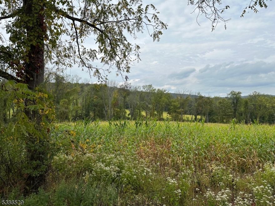 A truly exceptional opportunity awaits you to build your custom dream home in a location. This one-acre lot is a blank canvas, framed by the serene beauty of a working farm that borders the property, providing a peaceful and private backdrop.  You're just moments from the pristine waters of Mountain Lake, a natural glacial lake perfect within the community of Mountain Lake.  The property is ideally positioned with easy access to Route 46, connecting you to a wide array of shopping, dining, and recreational amenities. For commuters, the short drive to the town of Hackettstown provides direct rail and bus access to New York City, making this the perfect retreat for urban professionals seeking a country escape.