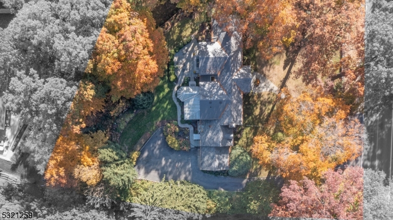 Hill Section - Residential