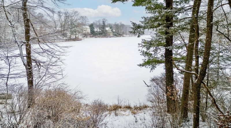 LAKE SWANNANOA - Residential