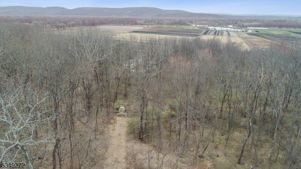 159 ALPHANO RD, GREAT MEADOWS, NJ 07838 - Image be87ea6f13c0ee94dbe73c2f2fc4228d/3646531576