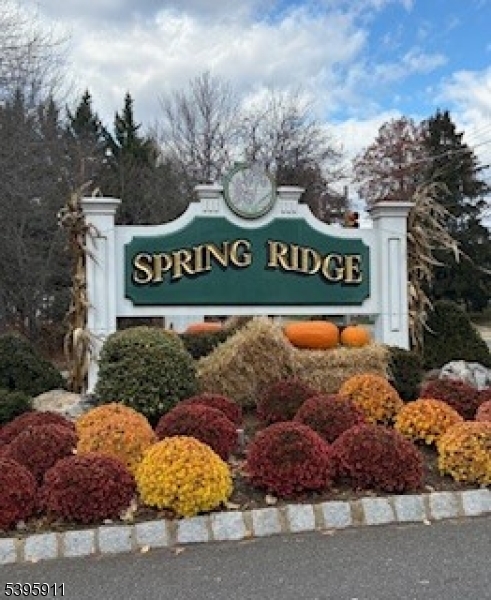 Spring Ridge - Residential