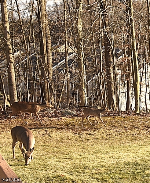 Skyview Heights - Residential