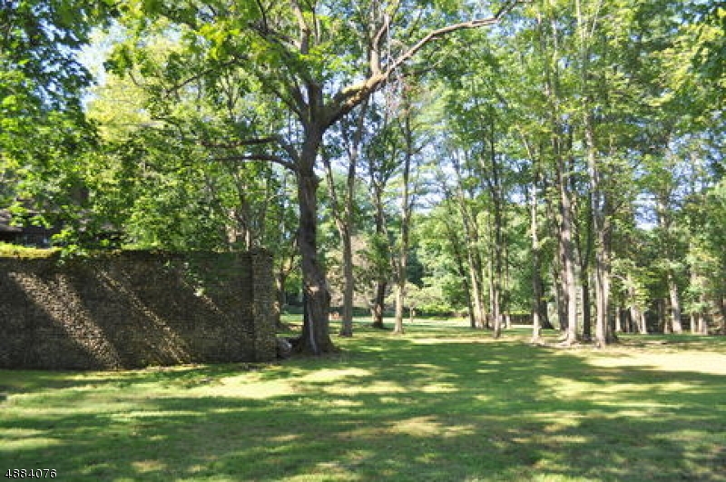 Bernardsville Mountain - Land