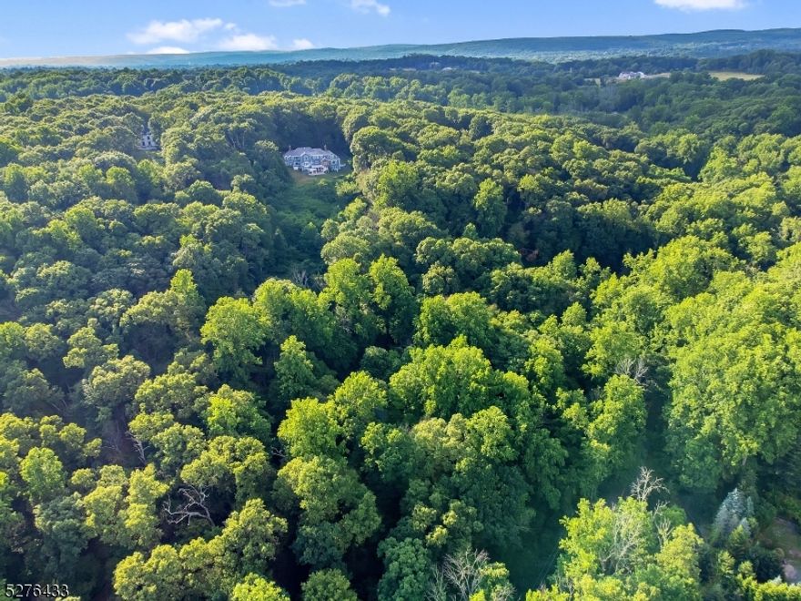 Secluded Serenity: Escape the hustle and bustle of city life as you immerse yourself in the peace and privacy of this secluded haven. Here, the only sounds you'll hear are the gentle murmurs of the brook and the sweet melodies of birdsong, creating a symphony of serenity that soothes the soul. Existing Cottage need renovation. Have you and your Builder let your imagination run wild as you explore the potential of this remarkable property. Whether you seek a peaceful retreat, an investment opportunity, or simply a place to reconnect with nature, this 15-acre parcel offers it all and more. Buildings on the premises should be demolished. Amazing opportunity at an amazing price! Underground oil tank was removed - docs available. Sold as-is.