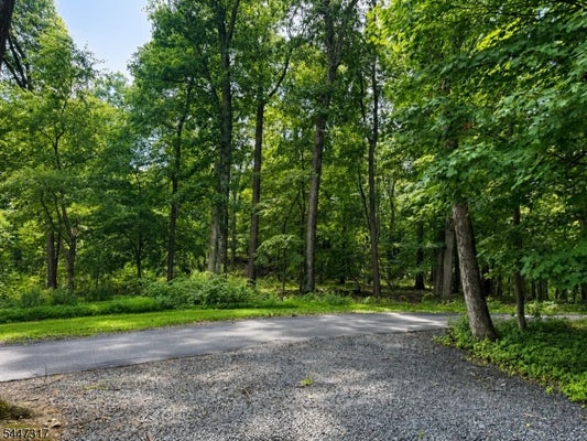 211 DOUGLASS AVE, BERNARDSVILLE, NJ 07924 - Image bf5aefcc210d0dbc0a30802a1787cdca/2608909389