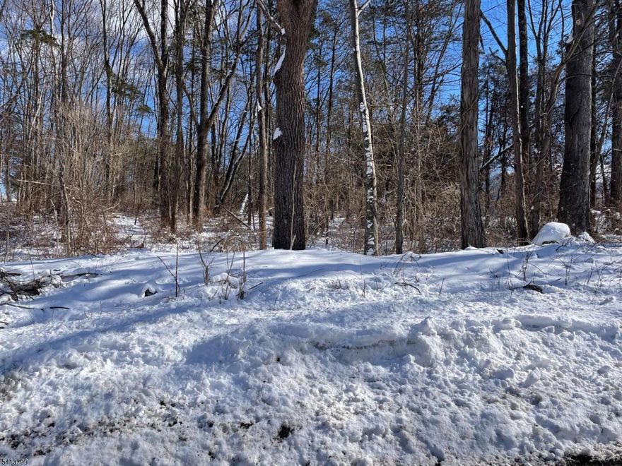 Rare opportunity to own a beautiful lot in desirable Stillwater Township! This 1.38-acre non-conforming wooded parcel gently rises from the road to a naturally level homesite, offering an ideal setting for your custom home. Mature trees provide both privacy and a picturesque backdrop.  Conveniently located just minutes from shopping, dining, parks, and scenic trails, this property combines tranquility with accessibility. Don't miss your chance to create something truly special in this sought-after location.  Survey available.