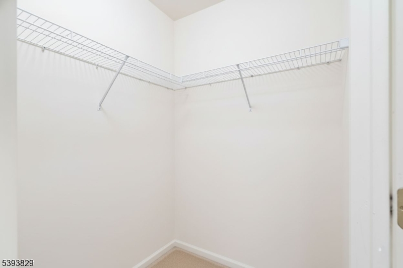 The Pointe - Residential