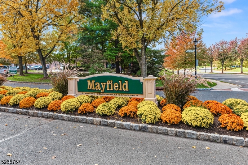 Mayfield - Residential Lease