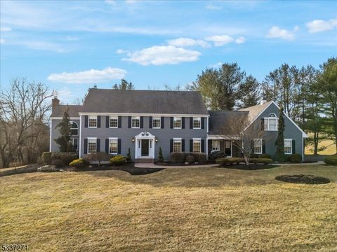 2 Kinneys Sawmill Rd, Readington Twp., NJ 08889 - MLS#: 3946409