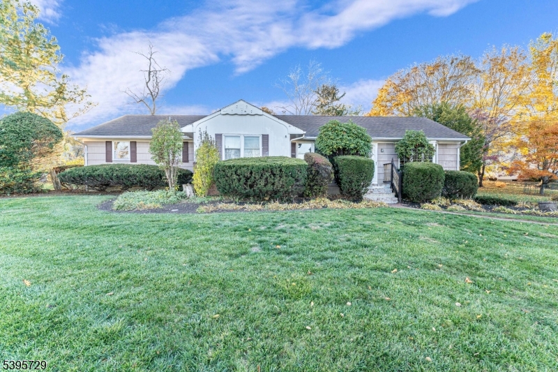 Three Bridges/ Forrest Hill - Residential