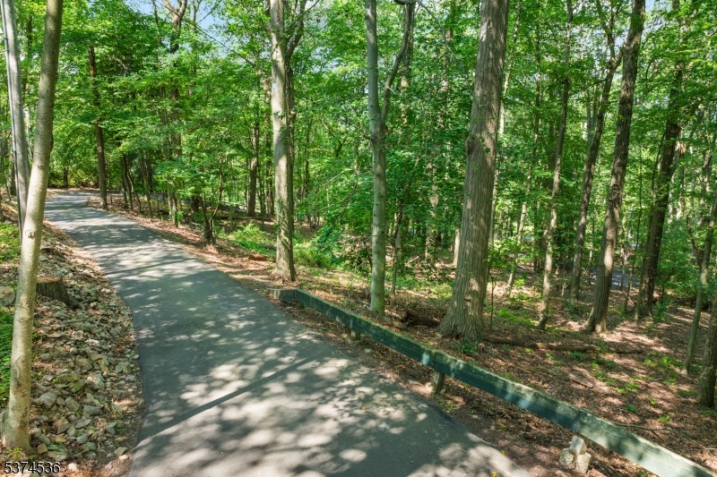 Bernardsville Mountain - Residential