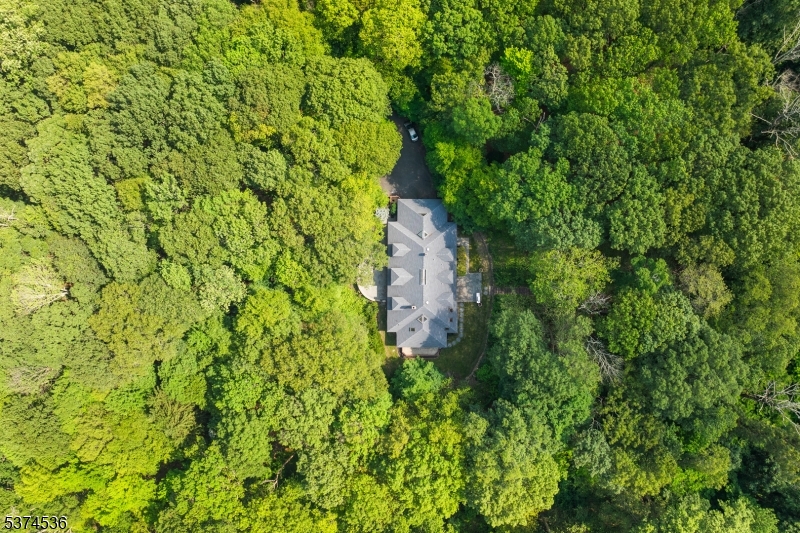 Bernardsville Mountain - Residential