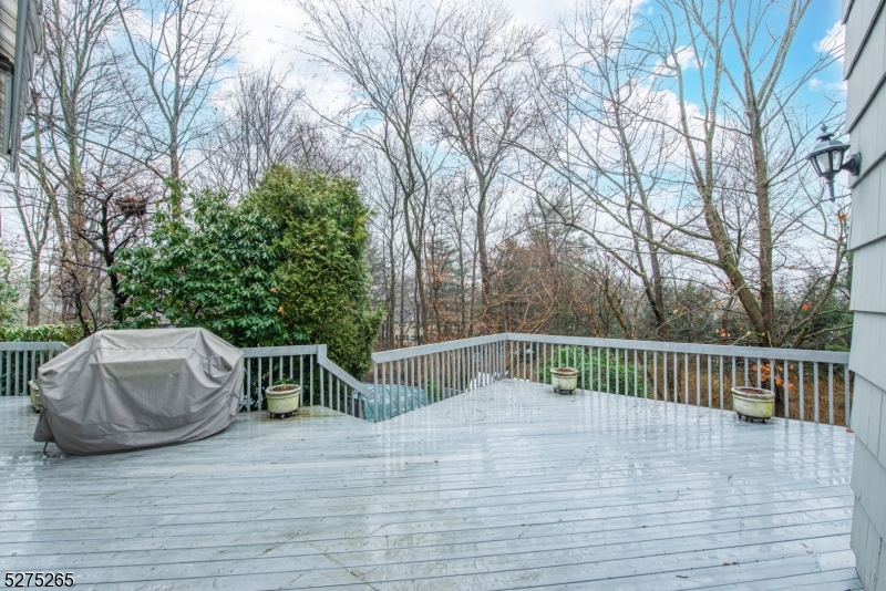 RIKER HILL - Residential