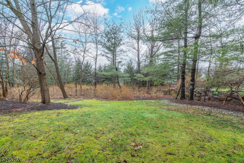 RIKER HILL - Residential