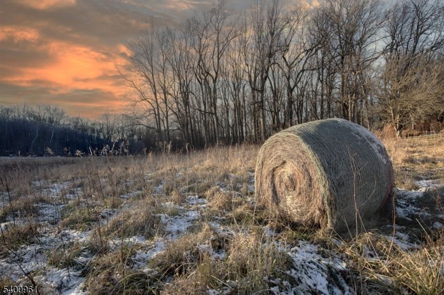 11 Logan Drive is a shovel-ready, 15+ acre offering set on a private cul-de-sac and benefiting from farm assessment. The property is being offered with seller-provided architectural plans for an approximately 4,669 square foot, four-bedroom, four-and-one-half bath modern ranch-style residence featuring open-concept living, expansive patios, and a full basement with nine-foot ceilings, or buyers may pursue a custom design of their choosing. The proposed project is deemed exempt from the provisions of the Highlands Rules with approved DEP and septic system, and pending imminent final Township of Tewksbury approvals. The expansive acreage also provides flexibility for additional amenities, including a barn and pool.Tewksbury Township is distinguished by its rolling countryside, preserved open space, and refined rural setting, offering a sense of privacy and understated elegance. Residents enjoy proximity to equestrian facilities, country roads, local farm markets, and nearby shopping and dining, all while maintaining a tranquil residential atmosphere. Convenient access to Routes 78, 22, and 287, along with nearby rail service to New York City, supports seamless commuting to regional business centers without compromising the township's serene lifestyle.