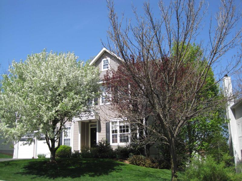 Downtown South Orange - Residential