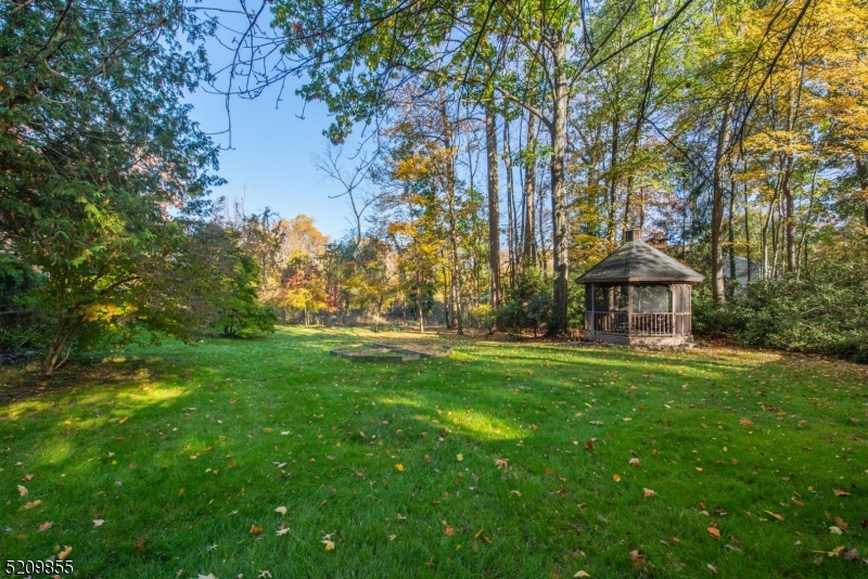 In town - Residential