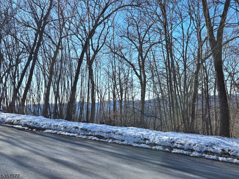 Ringwood Boro, New Jersey 07456, United States, ,Land,Active,161239