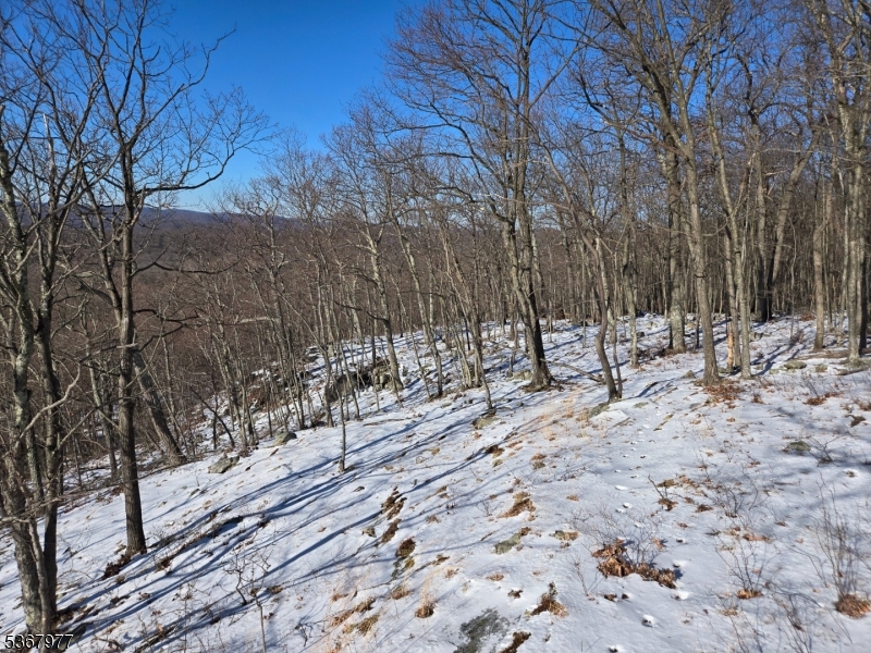 Ringwood Boro, New Jersey 07456, United States, ,Land,Active,161239