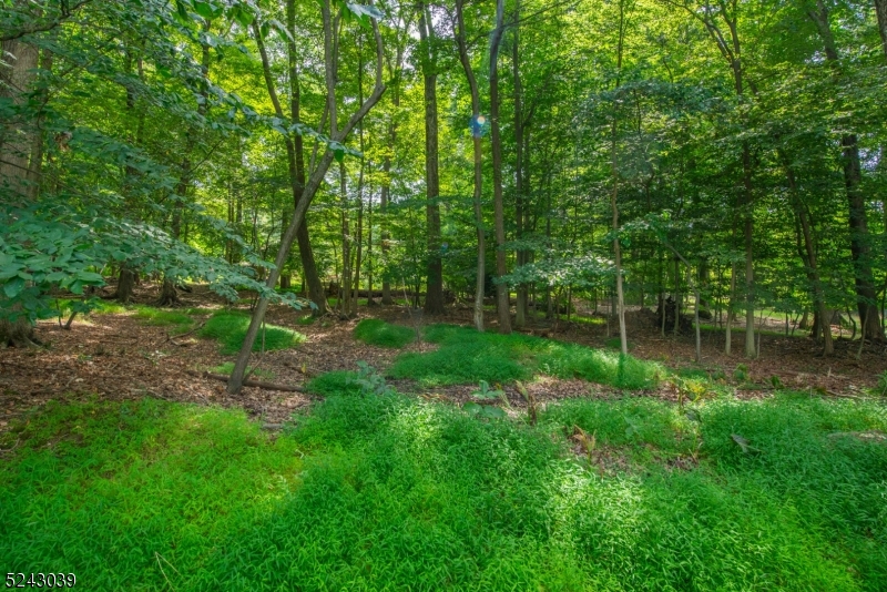 Shongum Lake - Residential