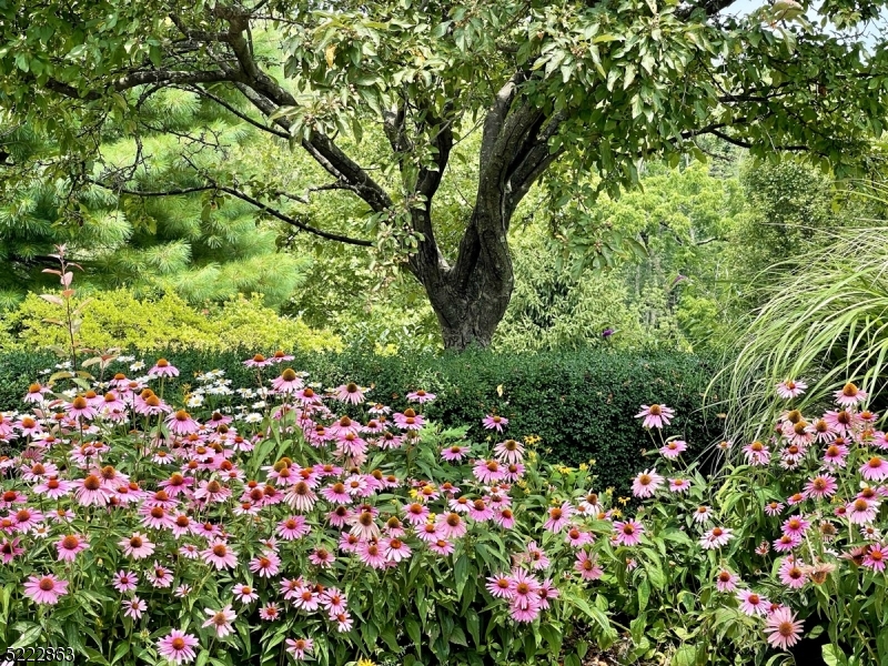 Bernardsville Mountain - Residential