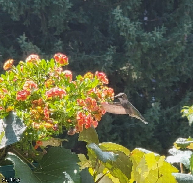 Garret Heights - Residential