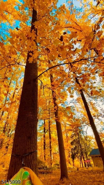 Stanton - Residential