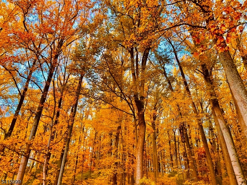 Stanton - Residential