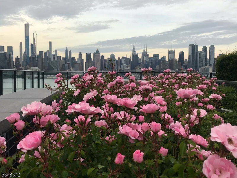 Port Imperial - Residential