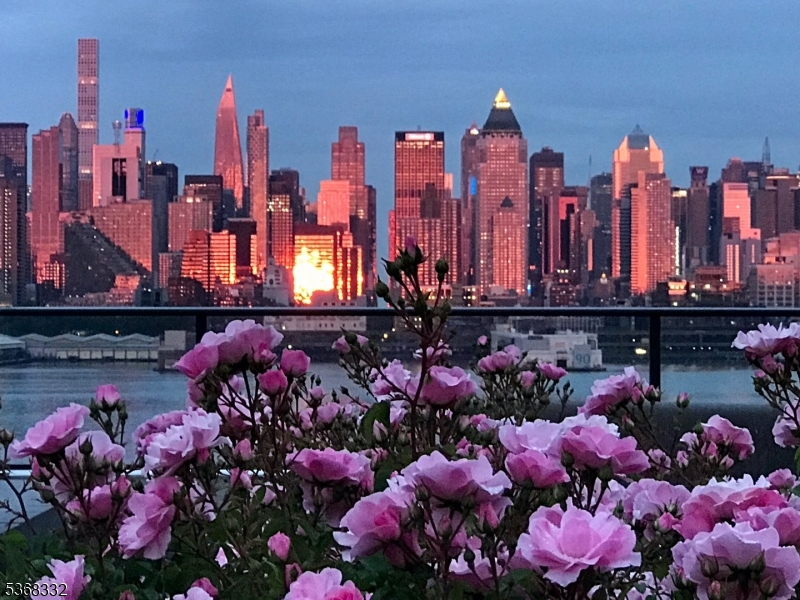 Port Imperial - Residential