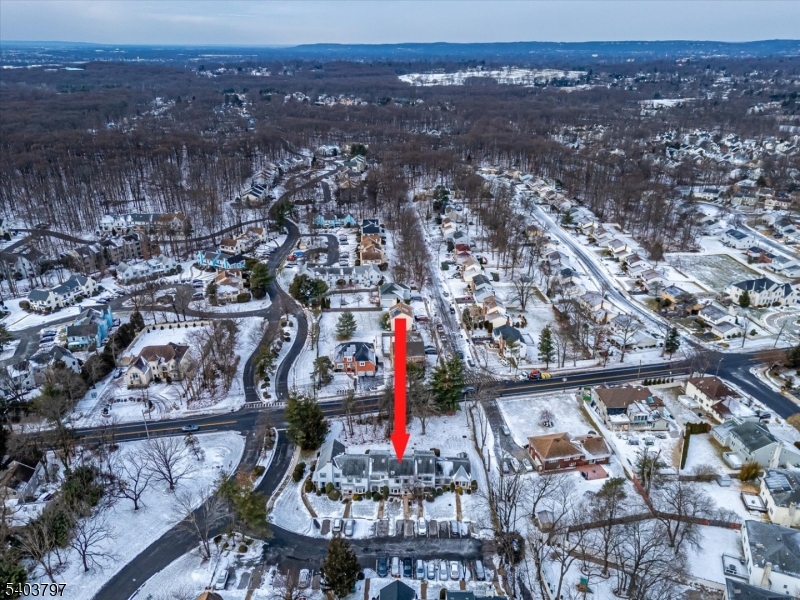 Maples - Residential