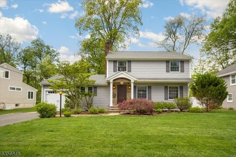 12 Borden Pl Livingston Twp. NJ 07039