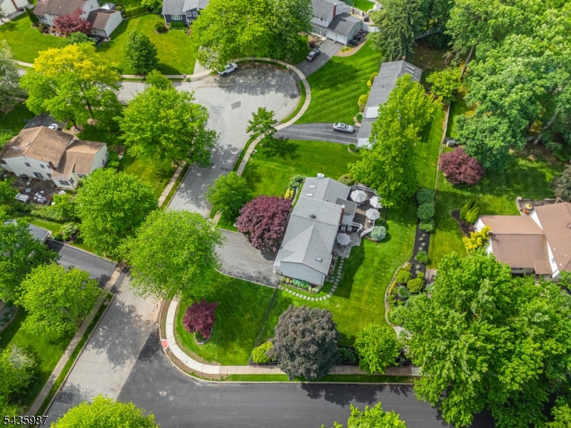 Druid Hills - Residential