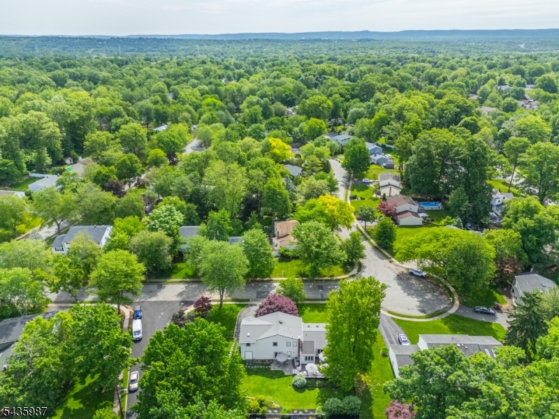 Druid Hills - Residential